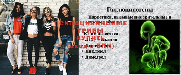 МДПВ Алексин